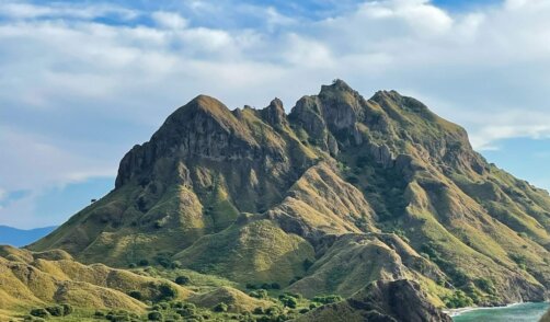 Flores Komodo Padar