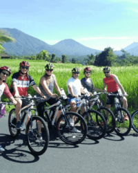 archipel360 Bali Ubud Bike 2