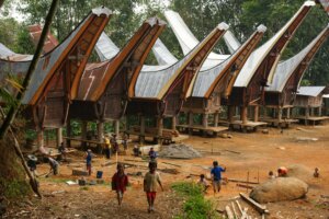 Maisons traditionnnelles Toraja en sulawesie