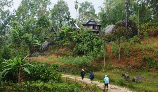 Trekking dans le pays Toraja