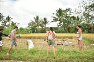 Ballade au milieu des rizières à Bali