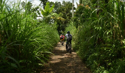 Archipel360 - Bali - Activities - Cycling Ubud (41)