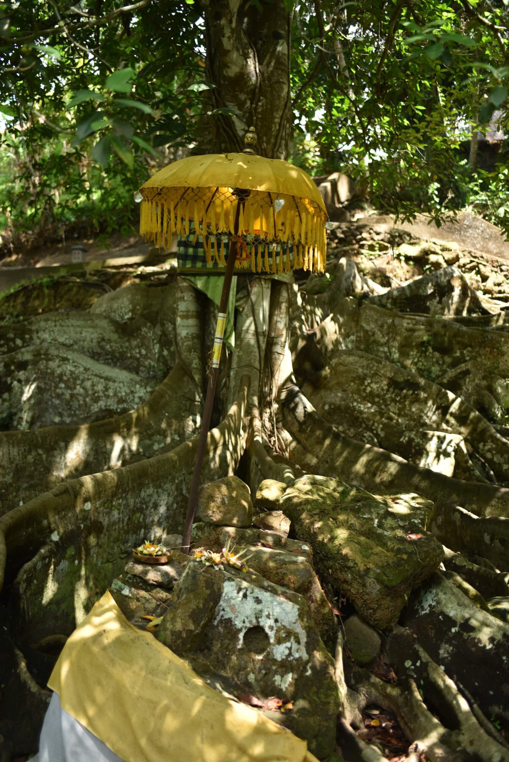 Petit temple au pied d'un banyan