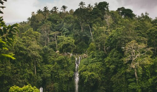 Bali waterfall munduk 1