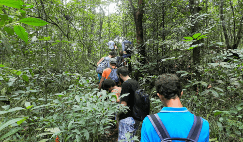 archipel360 Bali Batukaru Trekking