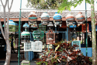 Java Jogyakarta Pasar Ngasem
