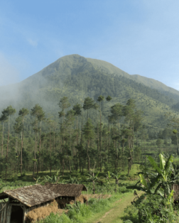 Paysage de la campagne de Malang en Indonésie