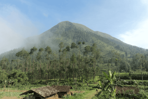 Java Magelang Paysage
