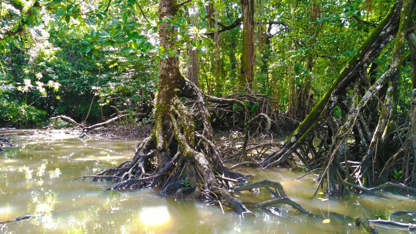 archipel360 Java Peucang National Park