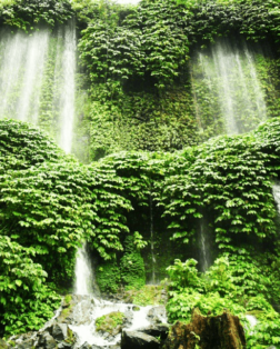 Cascades de Benang Kelambu à Lombok en Indonésie