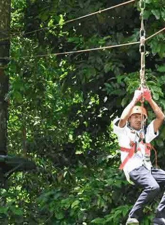 Lombok Suranadi Jungle