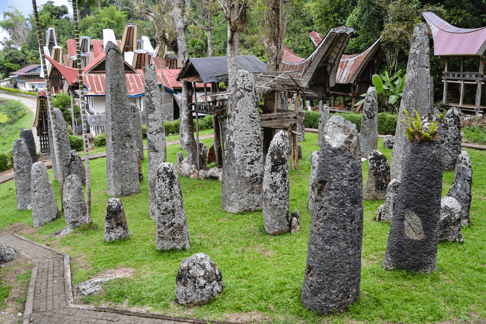 Jardin de Menhirs de Bori Kalimbuang dans le village de Sesean du Pays Toraja à Sulawesi