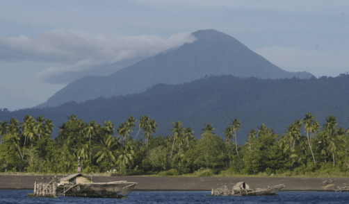 Sulawesi Tongkoko National Park