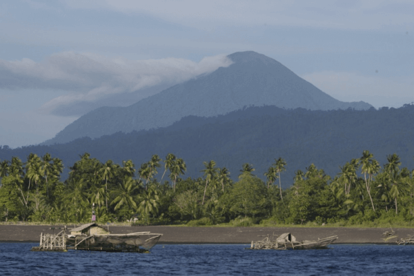 Sulawesi Tongkoko National Park