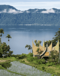 Sumatra Maninjau Lac