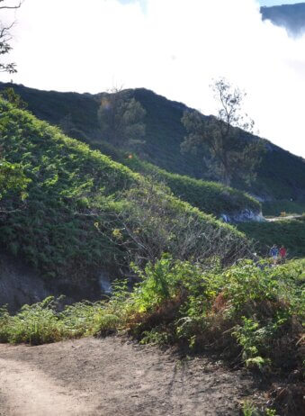 archipel360 java kawa ijen D15