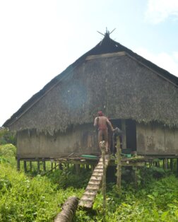 Ile de Siberut Uma (Maison Traditionnelle Mentawai)
