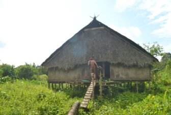 Sumatra Mentawai