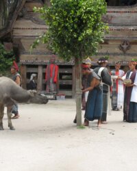 Sumatra Samosir peuple Toba Batak