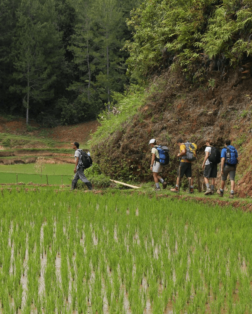 Trekking au pays Toraja