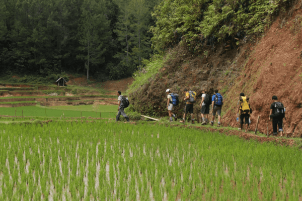 archipel360 Bali Toraja Trekking