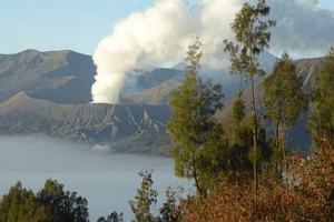 Fumerolles du Mont Bromo à Java