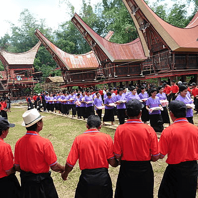 Cérémonie Toraja en Sulawesi