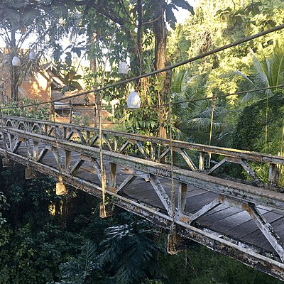 Pont rejoignant les cascades d'Ubud à Bali