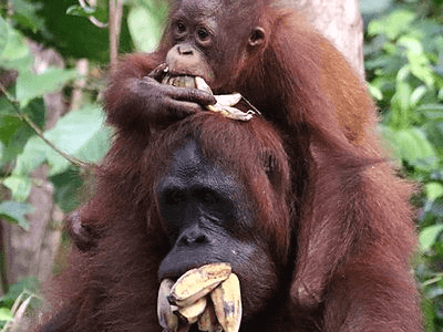 archipel360 Custumers – 2018 09 30 – Thomas 5