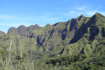 Flores Bajawa