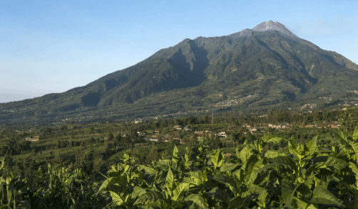 Java Selo Volcan Merapi