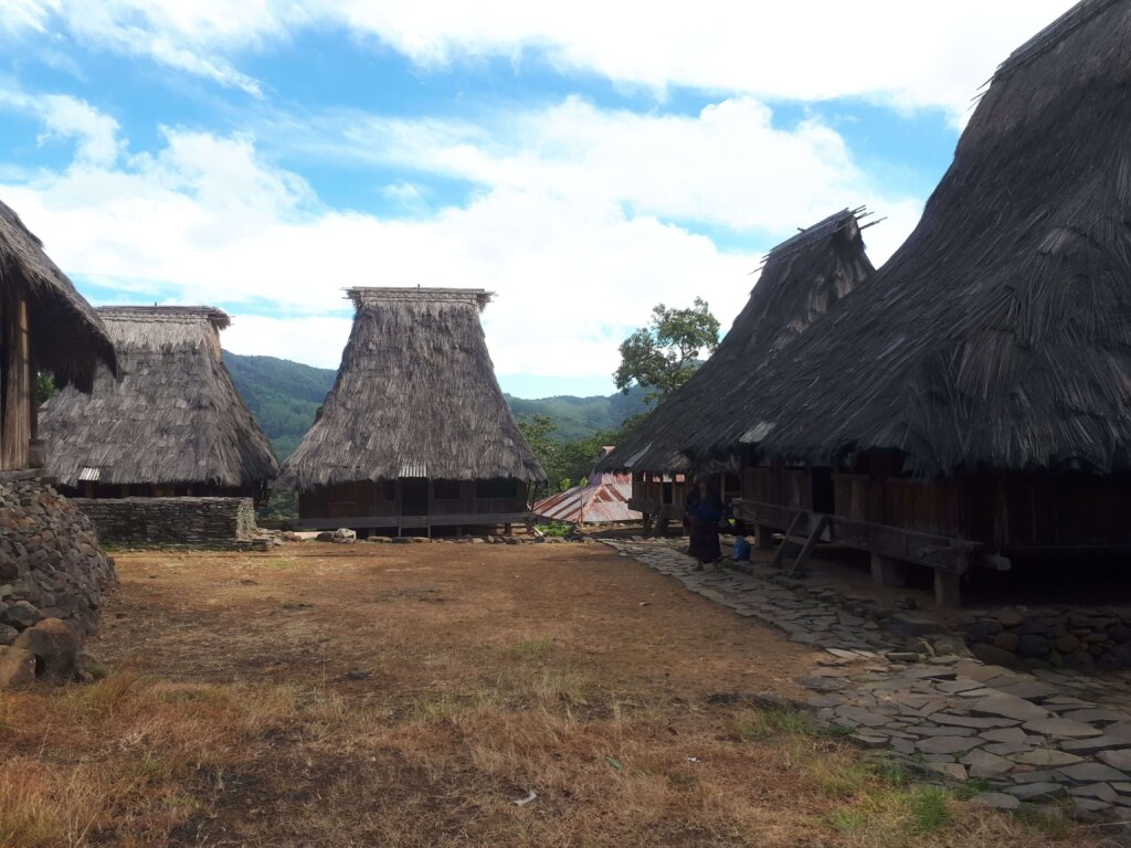 Village traditionnel à Flores