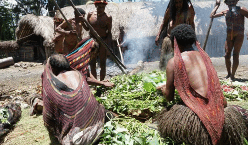 Papua Baliem Festival