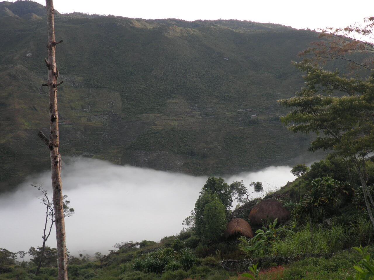 Vallée de Baliem Papua Wamena