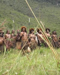 Festival vallée de Baliem en Papouasie occidentale
