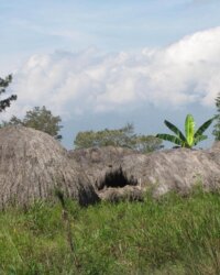 Village d'hanoi papua