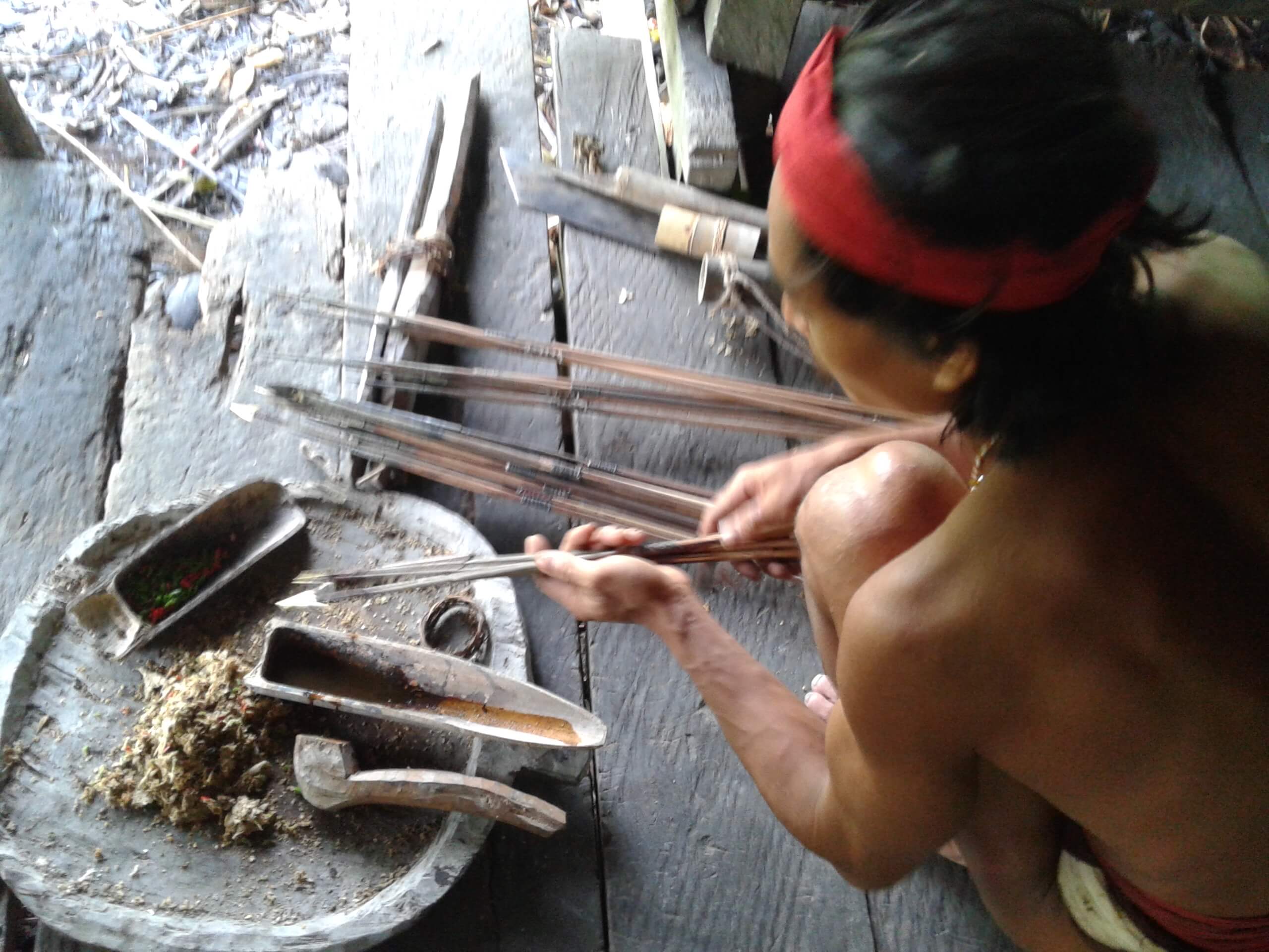 Fabrication du Curare chez les Mentawai à Sumatra