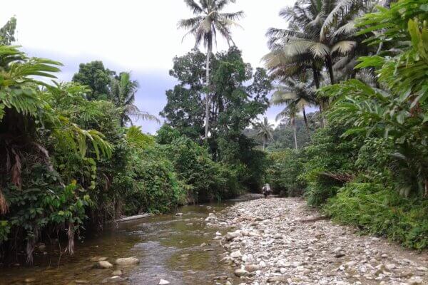 archipel360 Sumatra Siberut Mentawai 45