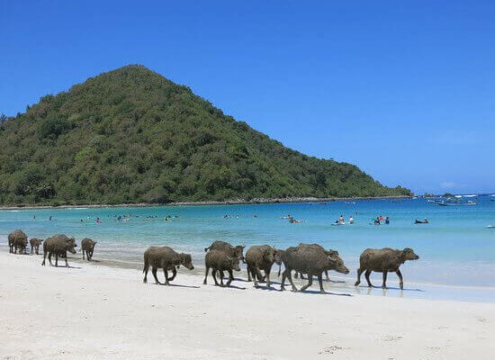 Archipel360 – Blog – Lombok plages 3