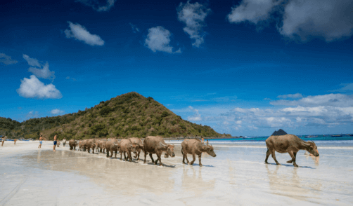 Archipel360 Lombok Seger Plage