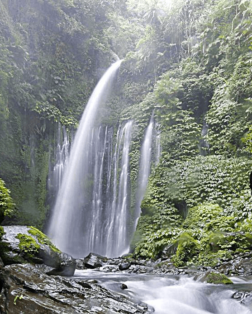 Au milieu de la végétation , la cascade de Sendang Gile a lombok