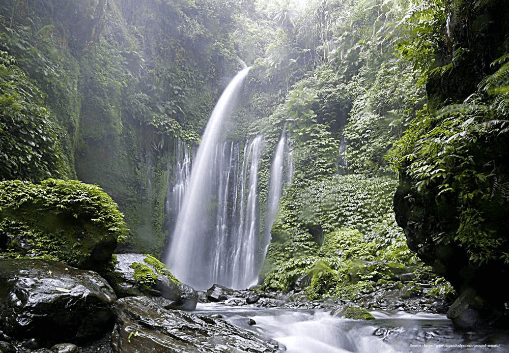 Au milieu de la végétation , la cascade de Sendang Gile a lombok