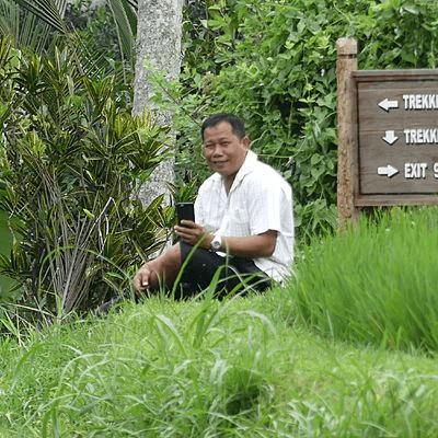Chauffeur indonésien dans les rizières