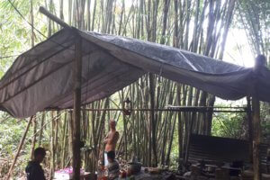 bivouac en forêt à Bali