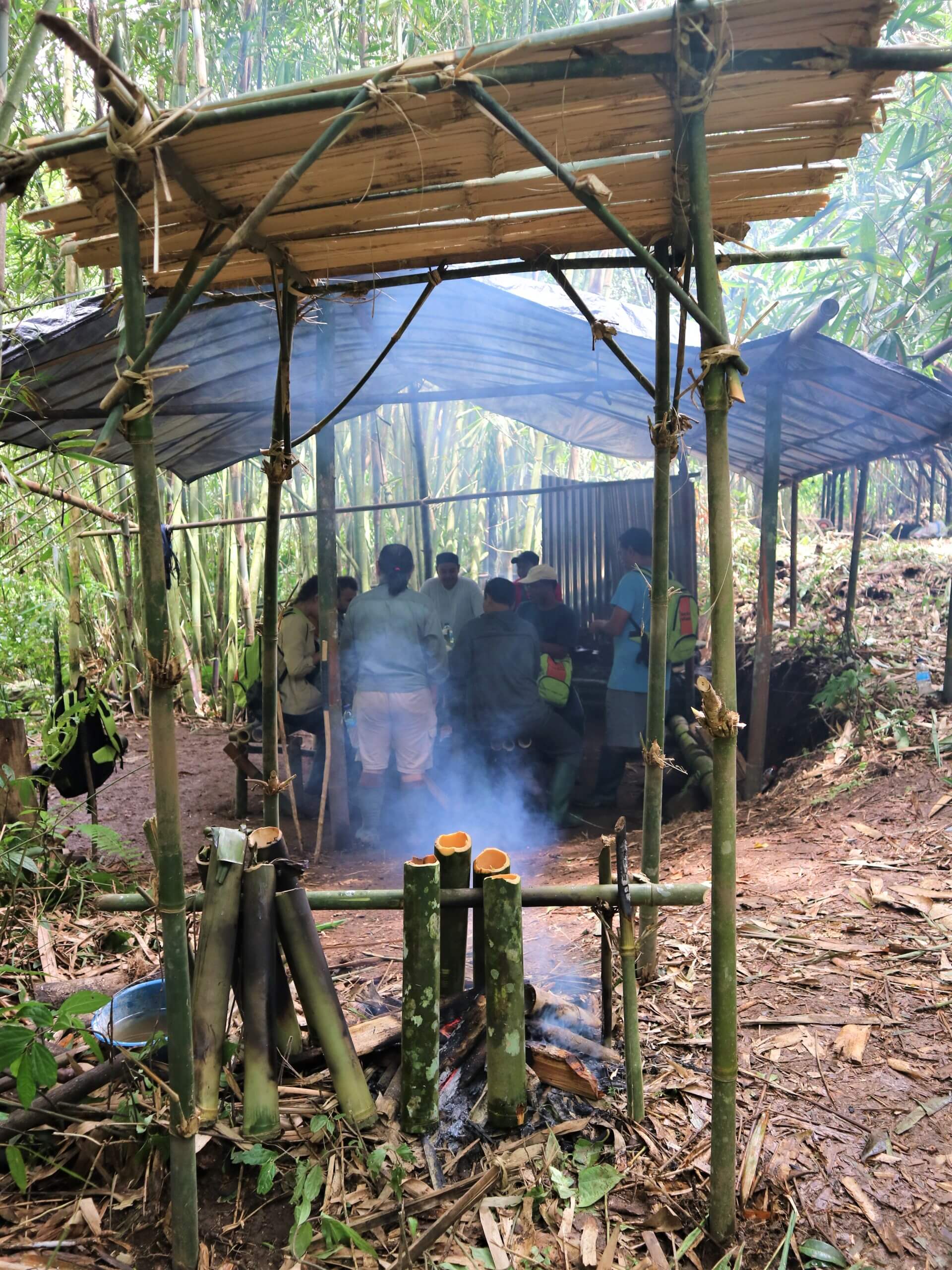 Bivouac expérience dans la foret pluviale de Bali