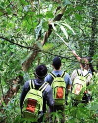 Archipel360 Bali Jatiluwih Sang Giri Jungle Treking 4