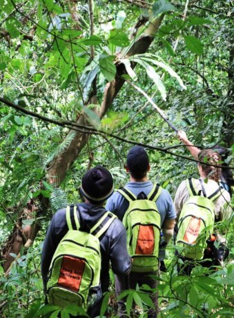 Archipel360 Bali Jatiluwih Sang Giri Jungle Treking 4