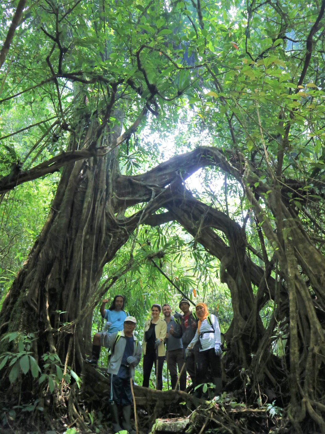 Archipel360 Bali Jatiluwih Sang Giri Jungle Treking 6