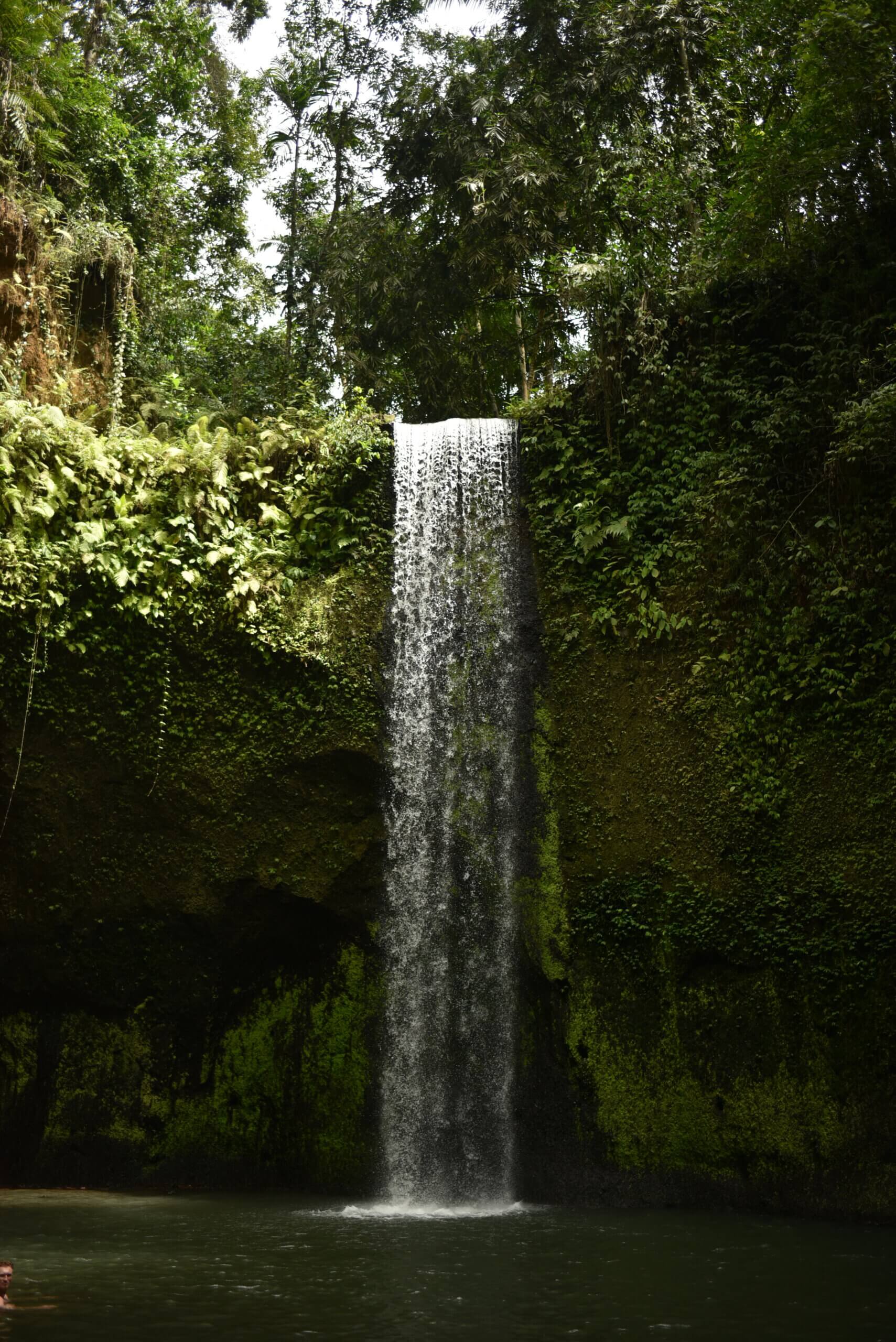 Les chutes d'eau en pleine jungle