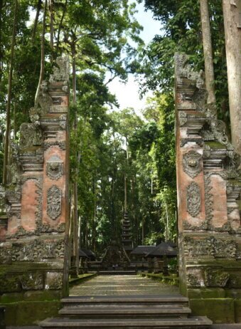 Archipel360 - Bali - Nature - Sangeh Monkey Forest (4)